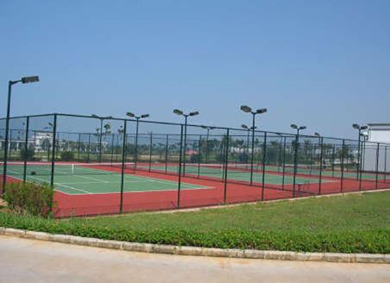 重庆球场91抖音下载入口