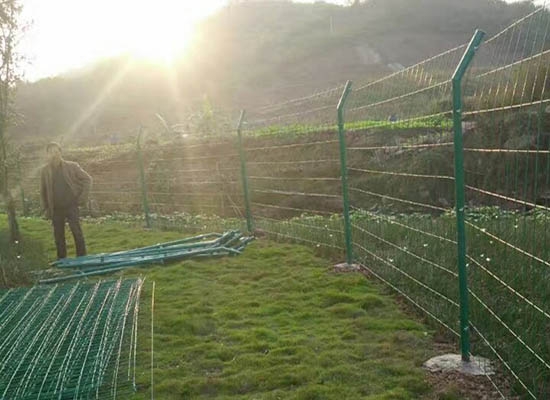 双边91抖音下载入口