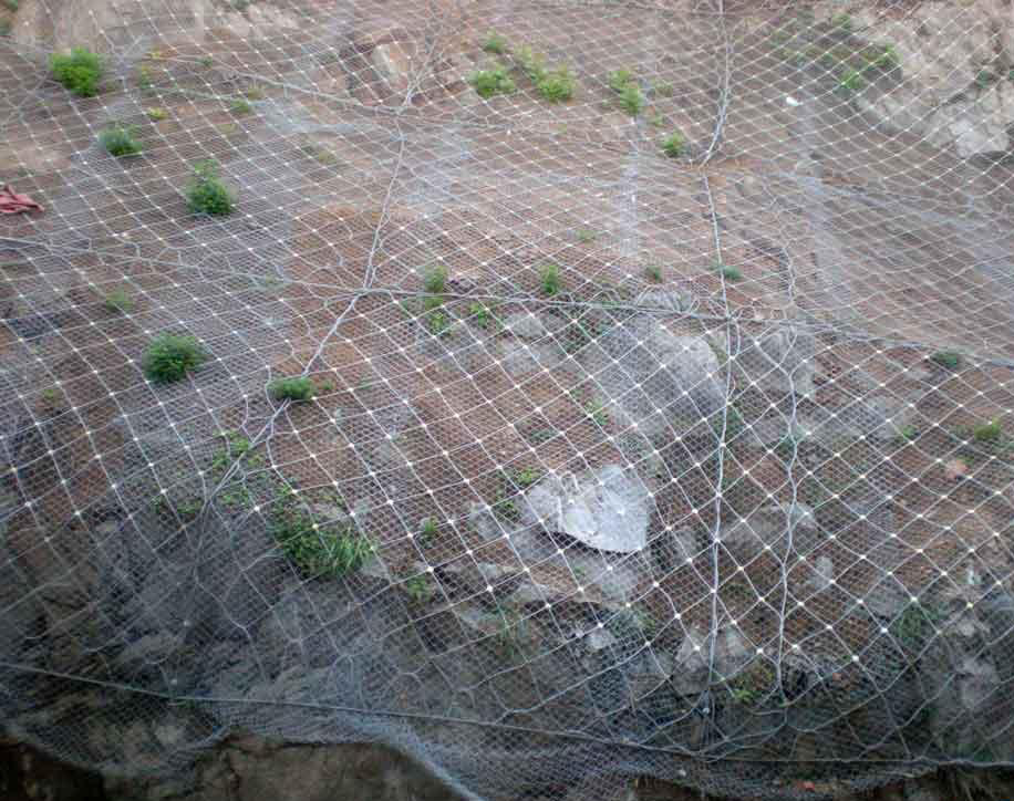 重庆91抖音破解版