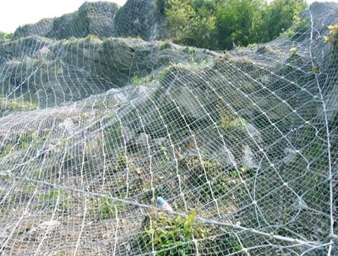 重庆91抖音破解版